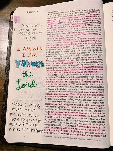 Exodus 1 Bible Journaling, Exodus Bible Journaling, Bible Study Exodus, Exodus Bible, Journal Binder, Exodus 12, Bulletin Journal, Journal Drawing, Bible Journals