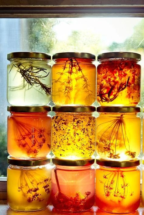 Honeycore | Aesthetics Wiki | Fandom Honey Astethic, Honey Gift Basket Ideas, Honeycomb Aesthetic, Honey Infusions, Sage Honey, Herb Infused Honey, Honey Store, Kitchen Bench, Cooking Lessons