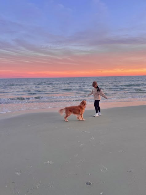 Golden beach sunset aesthetic Girl And Golden Retriever Aesthetic, Golden Retriever Mom Aesthetic, Beach Dog Aesthetic, Golden Retriever Girl Aesthetic, Family Dog Aesthetic, Dog Person Aesthetic, Beach Dog Photos, Golden Retriever Beach, Golden Retriever Girl