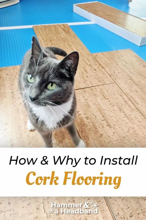 How and why to install cork flooring // We’re obsessed with cork! Here’s everything you need to know about this surprisingly durable flooring choice. See how we installed our floating cork floor, where we found modern style planks, and why cork is a great solution for the basement. #corkflooring #homeimprovement #interiordesign #diy Cork Floor Basement, Cork Flooring Bathroom, Cork Flooring Kitchen, Laminate Flooring Diy, Diy Wall Tile, Cork Wall Tiles, Cork Floor, 3 Season Room, Click Flooring