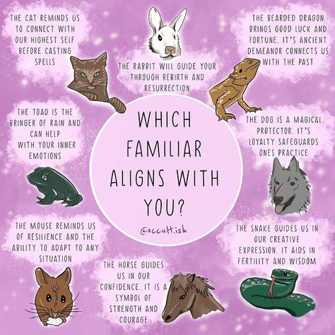 Witchcraft Community on Instagram: “🐸 What is your imagined familiar? 🐴 : This post is for all of us that don’t have a familiar and want to calm one in, or those of us that…” Familiars Witch Animal, Witch Familiar Animals, Find Your Familiar, Magical Familiar, Witch Familiar, Magic Practice, Witches Familiar, Animal Spirit Guides, Wiccan Magic