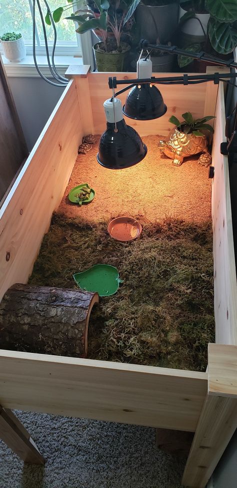 Sulcata Indoor Enclosure, Indoor Box Turtle Habitat, Turtle Enclosure Indoor, Sulcata Tortoise Habitat Indoor, Turtle Cages, Box Turtle Habitat Indoor, Diy Tortoise Habitat Indoor, Indoor Tortoise Enclosure, Tortoise Habitat Indoor