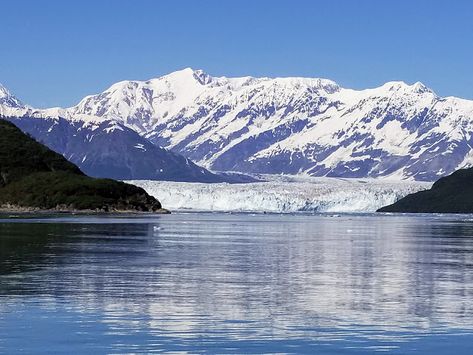 Mille Fiori Favoriti: The Hubbard Glacier in Yakutat Bay, Alaska Alaska Scrapbook, Hubbard Glacier, Alaska Glaciers, Many Glacier, Glacier Bay National Park, Alaska Vacation, Princess Cruise Ships, Princess Cruise, Venice Italy Travel