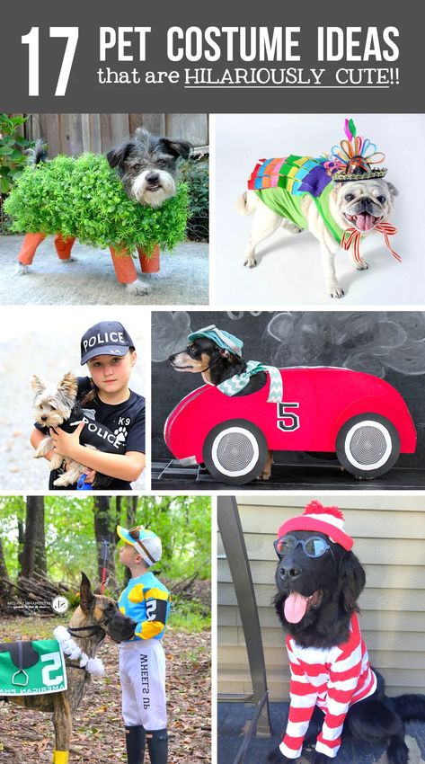 Pet Costume Ideas, Dog Costumes For Kids, Diy Pet Costumes, Pet Costumes For Dogs, Funny Pet Costumes, Best Dog Costumes, Costumes For Dogs, Cute Dog Costumes, Dog Costumes Funny