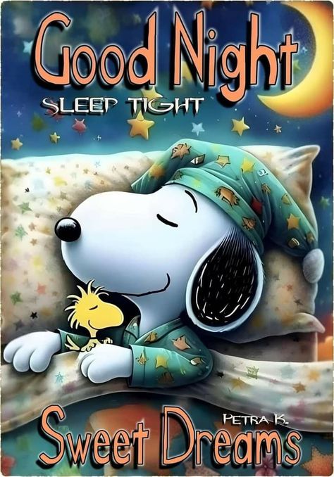 Snoopy Good Night, Goodnight Snoopy, Good Night Blessings Quotes, Snoopy Drawing, Snoopy Dance, Good Morning Snoopy, Good Night Sleep Tight, Happy Day Quotes, Good Night Funny