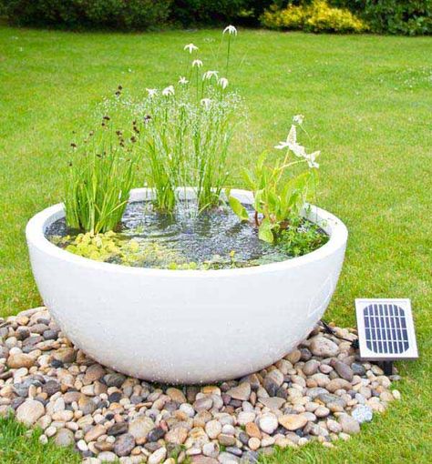 Shade Loving Flowers, Solar Water Feature, Tanaman Air, Moderne Have, Mini Pond, Container Water Gardens, Patio Pond, Taman Air, Pond Water Features