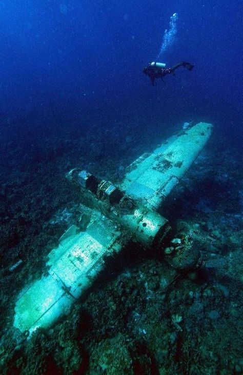 Underwater Wreckage, Underwater Archaeology, Underwater Drawing, Underwater Ruins, Sea Bed, Ship Wrecks, Ship Wreck, Jacques Yves Cousteau, Old Abandoned Houses