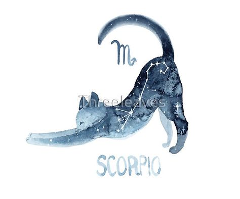 A Cat, Zodiac Sign, Deviantart, Art