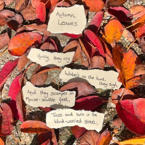 An old poem of mine, seeing a new autumn. #craftingapaththroughillness #Creativity #creative #creativewriting #Writing #poetry #poem #autumn #fall #autumleaves #fallleaves #leaves #leafart #leaf Leaf Poem, Poetry Poem, Writing Poetry, Leaf Art, Creative Writing, Autumn Fall, Autumn Leaves, Poetry, Writing