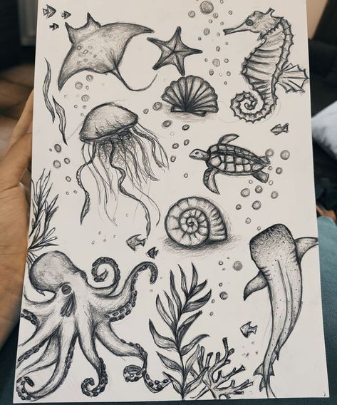 Drawings Of Ocean Animals, Things To Draw Sea Animals, Sea Related Drawings, Sea Creatures Drawing Realistic, Sea Horses Drawing, Things To Draw Ocean, Doodle Drawings Animals, Ocean Life Sketches, See Animals Drawing