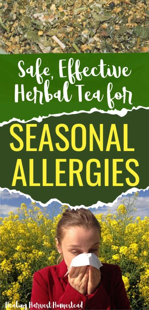 Best Sinus Soothing Herbal Tea Recipe for Congestion and Post Nasal Drip — All Posts Healing Harvest Homestead Teas For Allergies, Allergy Tea Recipe, Post Nasal Drip Remedy How To Get Rid, Mountain Rose Herbs Recipes, Tea For Allergies, Medicinal Tea Blends, Diy Teas, Apothecary Recipes, Remedy For Sinus Congestion