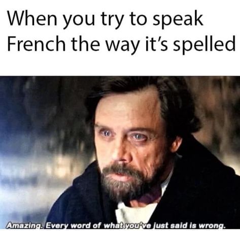 French Meme, Classroom Memes, Funny French, Teacher Memes, Memes Sarcastic, I Apologize, School Memes, How To Speak French, Crazy Things To Do With Friends