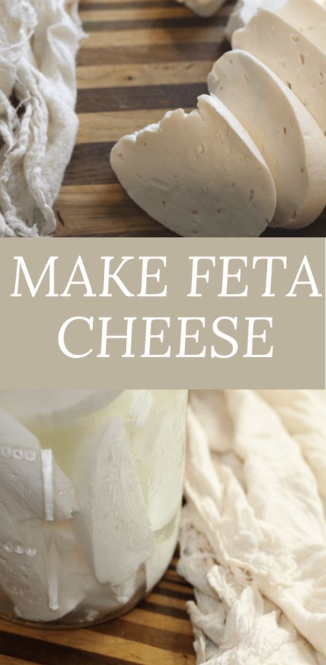 Goat Feta Recipes, Goat Milk Feta Recipe, Making Cheese From Goat Milk, Goats Milk Cheese Recipes, Diy Feta Cheese How To Make, Home Made Feta Cheese, Making Cheese At Home Simple, Goat Cheese Making, Cheesemaking At Home