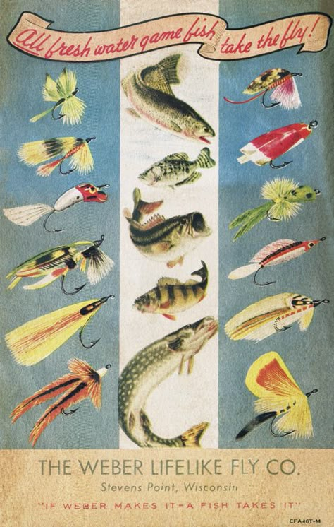 Vintage Fishing Advertisements, Vintage Fishing Poster, Bass Fishing Pictures, Vintage Fly Fishing, Retro Fishing, Trout Art, Homemade Fishing Lures, Sailboat Art, Salt Water Fishing