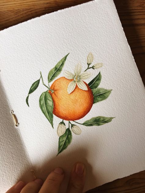 interesting art videos are always fun! Enjoy this creative and peaceful painting process video.. in this YouTube vidoe, I'm painting one of my FAVORITE art subjects: Orange blossoms! I love painting Oranges for some reason, they are so bold and colorful, and I love adding the floral citrus blooms elements to make it feel more dynamic and interesting! Enjoy! Orange In Watercolor, Feel Good Painting Ideas, Watercolor Oranges Tutorial, Orange Blossom Watercolor, Oranges Watercolor Paintings, Painting Of An Orange, Oranges Painting Acrylic, Tattoo Of Orange, How To Paint Oranges