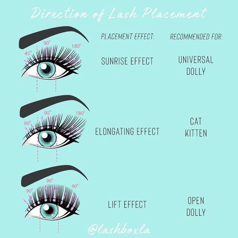 🧜🏼‍♂️Chris LashBoxLA🦄 on Instagram: “The post that’s worth saving, because angle placement matters!  👏👏👏 Applying lashes at a 90 degree to the lid is a great guideline to start…” Applying Lashes, Types Of Eyelash Extensions, Semi Permanent Lashes, Lash Extension Training, Semi Permanent Eyelashes, Kitten Eyes, Makeup Charts, Eyelash Salon, Lash Quotes