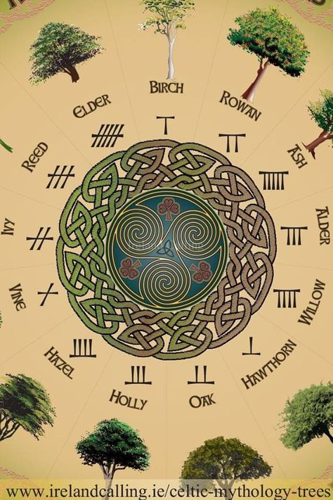 The Myth of the 28-day 13-month year. The Celtic Tree Calendar and (allegedly) others - Druidcraft Calendar Baba Jaga, Ancient Celts, Celtic Mythology, Celtic Tree, Celtic Symbols, Celtic Art, 자수 디자인, Different Kinds, Arte Fantasy