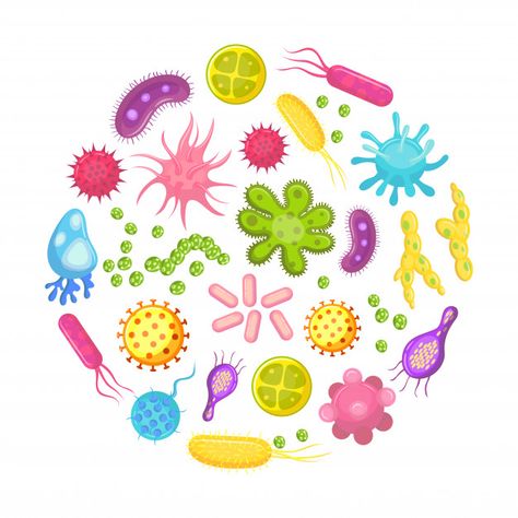 Plant Cell Organelles, Cell Organelles, Flora Intestinal, Cell Structure, Animal Cell, Cell Membrane, Plant Cell, Picture Letters, Teaching Style