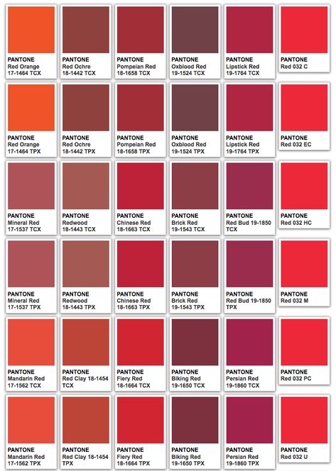 Pantone Chart, Pantone Red, Pantone Color Chart, Color Knowledge, Pantone Palette, Pantone Colour Palettes, Different Shades Of Red, Hex Color Palette, Red Colour Palette