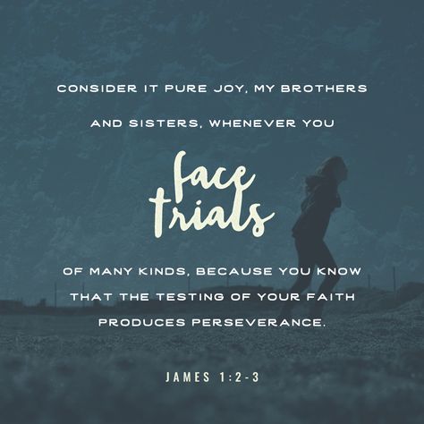 Consider it pure joy, my brothers and sisters, whenever you face trials of many kinds, because you know that the testing of your faith produces perseverance. James 1 2 3, Consider It Pure Joy, Book Of James, New American Standard Bible, Soli Deo Gloria, James 1, Finding Happiness, I Love You Quotes, Brothers And Sisters