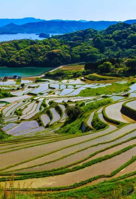 Japan Map, Fireworks Festival, Japan Destinations, Spring Hiking, Travel Japan, Destinations Travel, Travel Asia, Bus Travel, Kyushu