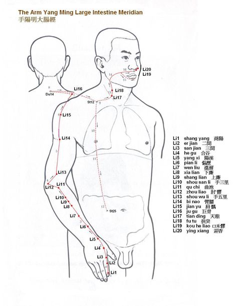 Tcm Meridians, Meridian Channels, Lung Meridian Pressure Points, Acupuncture Meridian Chart, Large Intestine Meridian, Acupuncture Meridians, Acupuncture Points Chart, Meridian Energy, Meridian Acupuncture