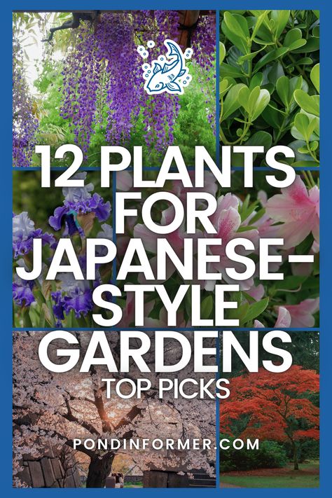 Elevate your Japanese-style garden with our top 12 plant picks! From the graceful elegance of Japanese maple trees to the delicate beauty of cherry blossoms, these selections capture the essence of traditional Japanese landscaping.  #JapaneseGardens #ZenGardening #Japanese #ZenGarden #GardenDesign #JapanesePlants #AsianInspiredGardens #GardenInspiration #JapaneseFlora #MinimalistGardening #SereneLandscapes #Garden #Gardening #GardenIdeas #PondInformer Plants For Japanese Garden Landscaping, Japanese Maple Garden Design, Japanese Front Garden, Japanese Trees Landscape, Japanese Style Garden Ideas, Japanese Garden Trees, Japanese Garden Flowers, Japanese Landscaping Ideas, Japanese Plants Outdoor