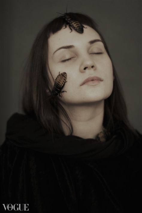 Bug Photoshoot, Dark Witch Aesthetic, Weird Photography, Dark Witch, Kawaii Goth, Figure Poses, Photoshoot Concept, Witch Aesthetic, Amaranth