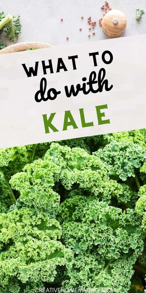 Looking for ways to enjoy kale? Check out our favorite recipes and creative ideas! From hearty soups and flavorful pestos to crispy kale chips, there’s no shortage of delicious options. Perfect for adding nutrition and flavor to your dishes! Dive into the world of kale and get inspired! Best Way To Cook Kale, Ways To Eat Kale, Green Kale Recipes, Kale Dishes Recipes, Vegan Kale Recipes Healthy, Ways To Cook Kale, Kale Keto Recipes, Recipes For Kale Greens, Recipe For Kale Greens