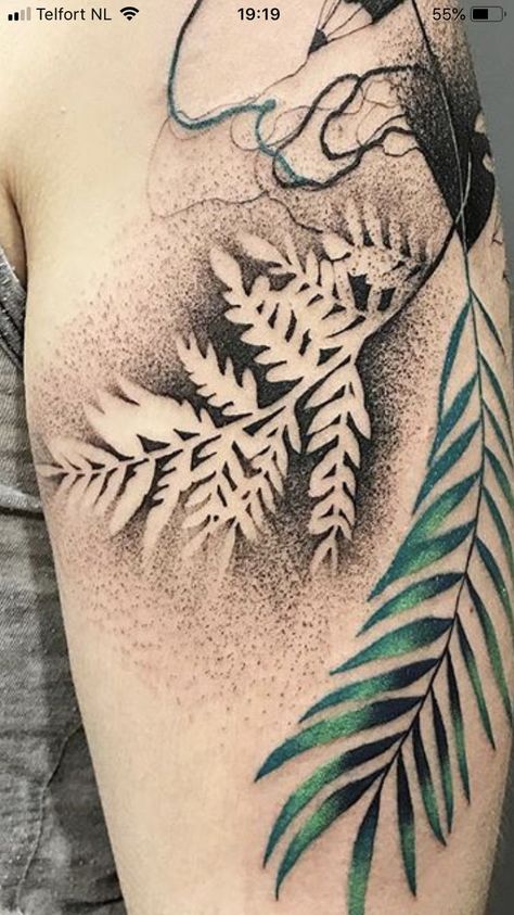 Tattoo Negative Space, Negative Tattoo, Gap Filler Tattoo, Negative Space Tattoo, Fern Tattoo, Tattoo Dotwork, Tattoo Filler, Floral Tattoo Sleeve, Plant Tattoo