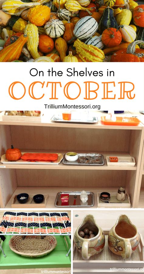 On the Shelves in October - Trillium Montessori Montessori Fall Activities Preschool, Montessori Provocations, Montessori Fall Activities For Toddlers, October Montessori Activities, Practical Life Fall Activities, Fall Montessori Activities For Toddlers, Montessori Halloween Activities, Halloween Montessori Activities, October Montessori Shelves