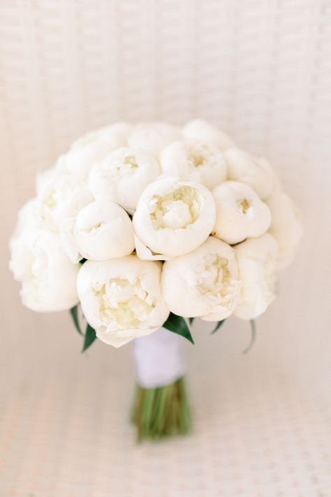 Simple White Peony Bouquet. White Peonies Centerpiece, White Peony Bouquet Wedding, White Peony Bouquet, Modern Floral Art, White Peonies Bouquet, Simple Wedding Bouquets, Peonies Wedding, Bridal Bouquet Peonies, Wedding Flowers Peonies