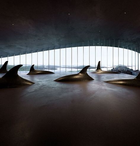 Whale Architecture, Ocean Museum, Water Exhibition, Whale Museum, Marine Museum, Danish Architecture, Museum Interior, Concept Models Architecture, Museum Hotel