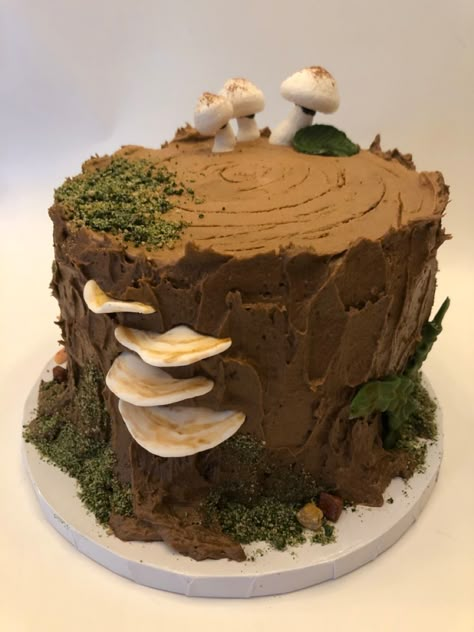 19th Bday Cake, Enchanted Garden Cake, Woodlands Cake, Rock Cookies, Enchanted Forest Cake, Woodland Birthday Cake, Meringue Mushrooms, Tree Stump Cake, Mushroom Cake