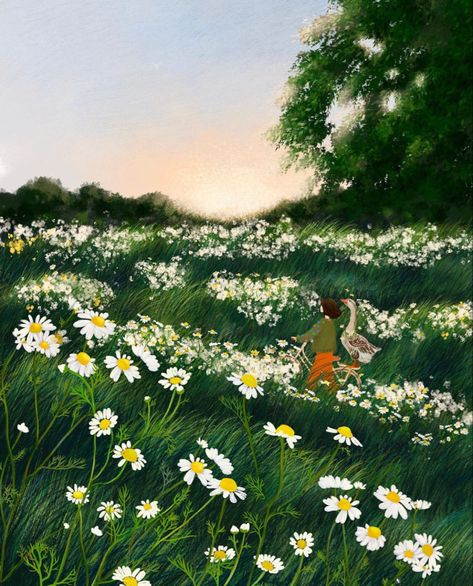 Chamomile Illustration, Field Illustration, Daisy Garden, Daisy Field, Garden Drawing, Girly Art Illustrations, Nature Illustration, Painting Art Projects, Art Business