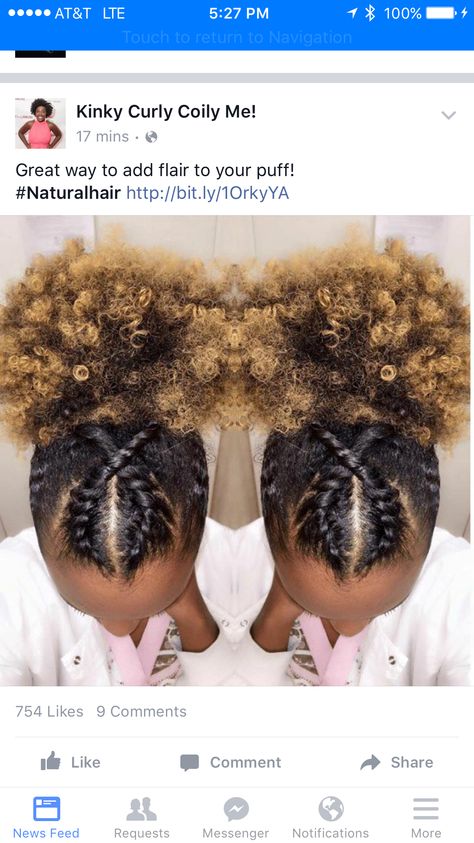 Cabello Afro Natural, High Bun Hairstyles, Natural Braided Hairstyles, Pelo Afro, Afro Puff, Two Braids, Natural Hair Styles Easy, Penteado Cabelo Curto, Natural Hair Inspiration