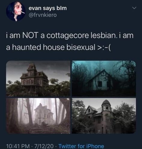 A Haunted House, Gay Memes, Just Girly Things, Tumblr Funny, Say Hi, Haunted House, In The Middle, I Laughed, The Middle