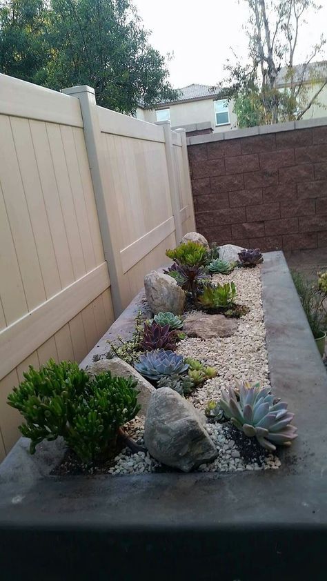 Rock Garden Small Spaces, Small Rockery Ideas, Succulent Small Garden Ideas, Succulent Flowerbed Ideas, Small Succulent Garden Outdoor, Indoor Wall Plants Decor, Small Rockery Garden Ideas, Low Maintenance Front Yard Landscaping Ideas Rocks, Outdoor Rock Garden Ideas