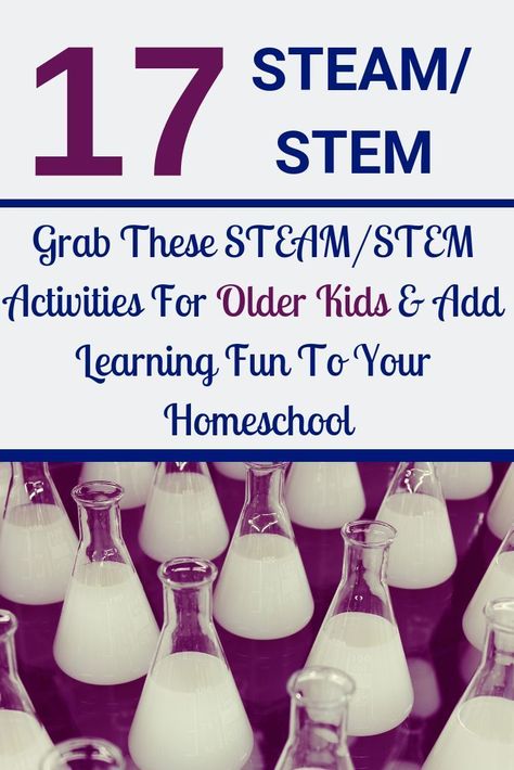 Activities For Older Kids, Homeschool Stem, Stem Club, Science Homeschool, Homeschool Science Curriculum, Stem Classes, Homeschooling High School, Steam Science, Steam Projects