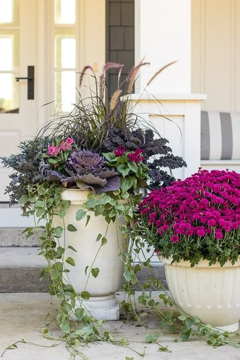 Container Plants Full Sun, Winter Container Plants, Container Plants For Shade, Fall Containers Planters, Fall Outdoor Planter Ideas, Fall Potted Plants, Fall Planter Ideas, Shade Plants Container, Fall Container Plants