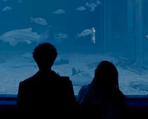 Couple Blue Aesthetic, Blue Couple Aesthetic, Blue Couple, Aquarium Pictures, Dream Dates, Nostalgic Images, Abstract Wallpaper Design, Ulzzang Couple, Human Poses Reference