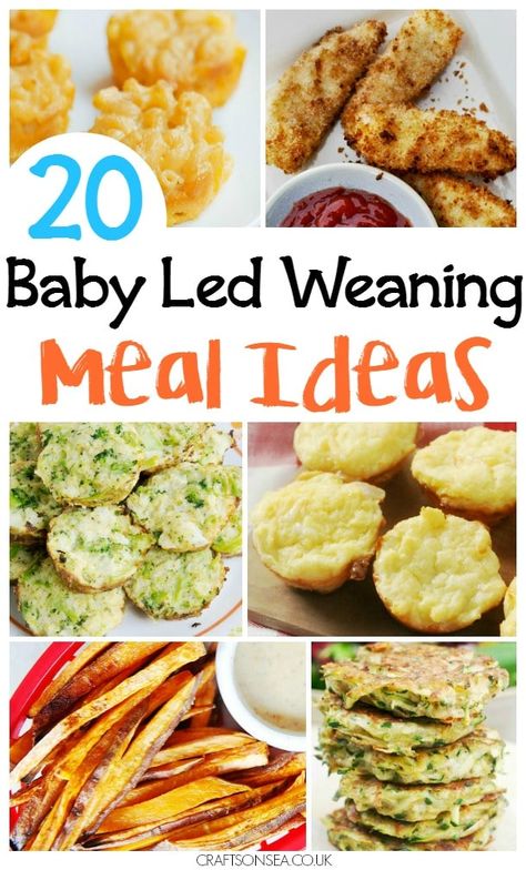 Need ideas quickly? We've got 20 family recipes for baby led weaning - perfect for finger foods too! Hidden veggie meatballs, baby friendly curry and more. Recipes For Baby Led Weaning, Recipes For Baby, Fingerfood Baby, Baby Recipe, Veggie Meatballs, Baby Led Weaning First Foods, Weaning Foods, Baby Led Feeding, Mississippi Pot Roast