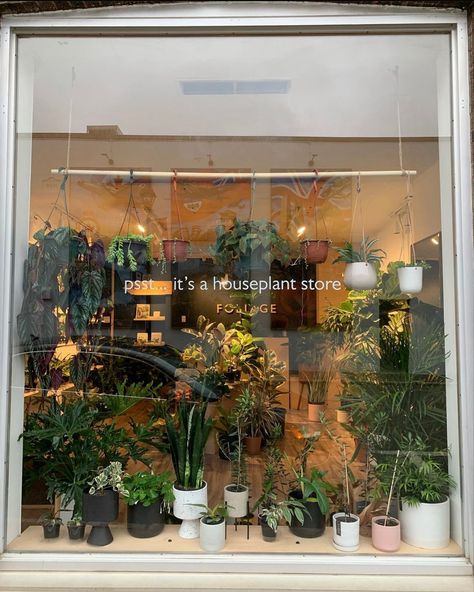 Plant Shop Window Display, Plant Store Display Visual Merchandising, Small Plant Shop Ideas, Houseplant Store, Plant Shop Design, Plant Store Display, Plant Store Aesthetic, Plant Shop Ideas, Succulents Shop