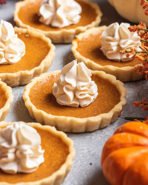 Mini Pumpkin Pies Pumpkin Pie Tartlets, 6 Inch Pies, Pie Flowers, Grey Macarons, Mini Pie Crust, Vegetarian Pie, Pumpkin Tarts, Tartlets Recipe, Thanksgiving Gathering