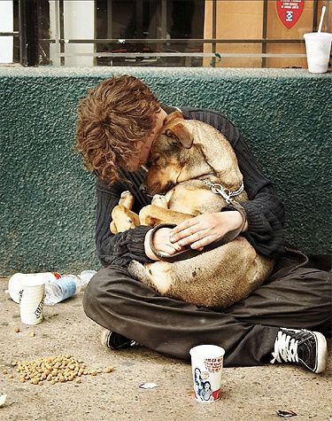 Download the Free HtH Pet Calendar for 2013 Christian Ronaldo, Sleeping Man, Homeless People, Man And Dog, Funny Dog Pictures, Mans Best Friend, I Love Dogs, Dog Pictures, Dog Love