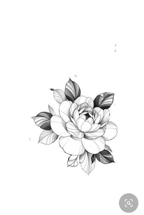 Fineline Flowers Tattoo, Round Flower Tattoo, Zihwa Tattoo, Gardenia Drawing, Round Tattoo Ideas, Peonies Tattoo Design, Gardenia Flower Tattoo, Linework Flower Tattoo, Peony Flower Tattoo Design