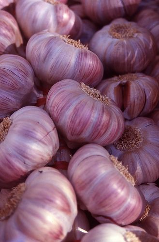 Garlic | da Fraser P Vegetable Pictures, Beautiful Fruits, Spices And Herbs, Fresh Fruits And Vegetables, Fruit And Veg, Fresh Vegetables, Beautiful Food, Leeks, Fruits And Veggies