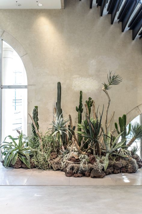 UNITED ARROWS HARAJUKU — Satoshi Kawamoto Plant Styling, Plant Installation, Flower Installation, Indoor Patio, Dry Plants, Creative Company, Cactus Garden, United Arrows, Little Garden