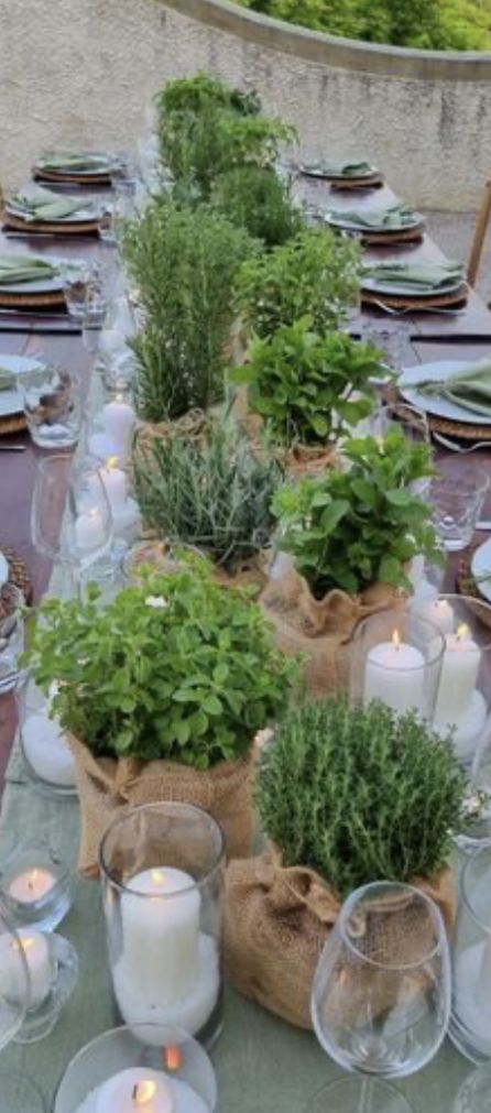 Italian Theme Party Decorations Centerpiece Ideas, Herb Themed Party, Italian Dinner Table Decor, Italian Tablescape Ideas, Italian Themed Centerpieces, Italian Wedding Table Decor, Tuscan Dinner Party, Tuscan Tablescape, Italian Table Setting