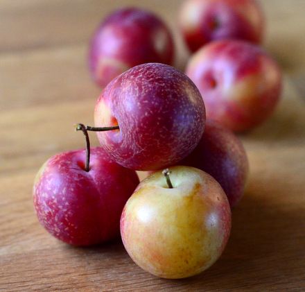 What is a cherry plum? How To Store Cherries, Plum Varieties, Cherry Plum, A Fruit, The Fruit, Medium Length, Healthy Snacks, Plum, Cherry